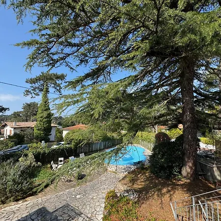 Maison Renovee Avec Piscine Aux Abatilles, - Fr-1-474-274 * Аркашон